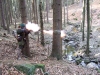 100_7063.JPG