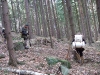 100_7066.JPG