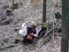 100_7068.JPG