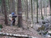100_7074.JPG