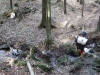 100_7092.JPG