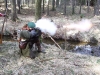 100_7095.JPG